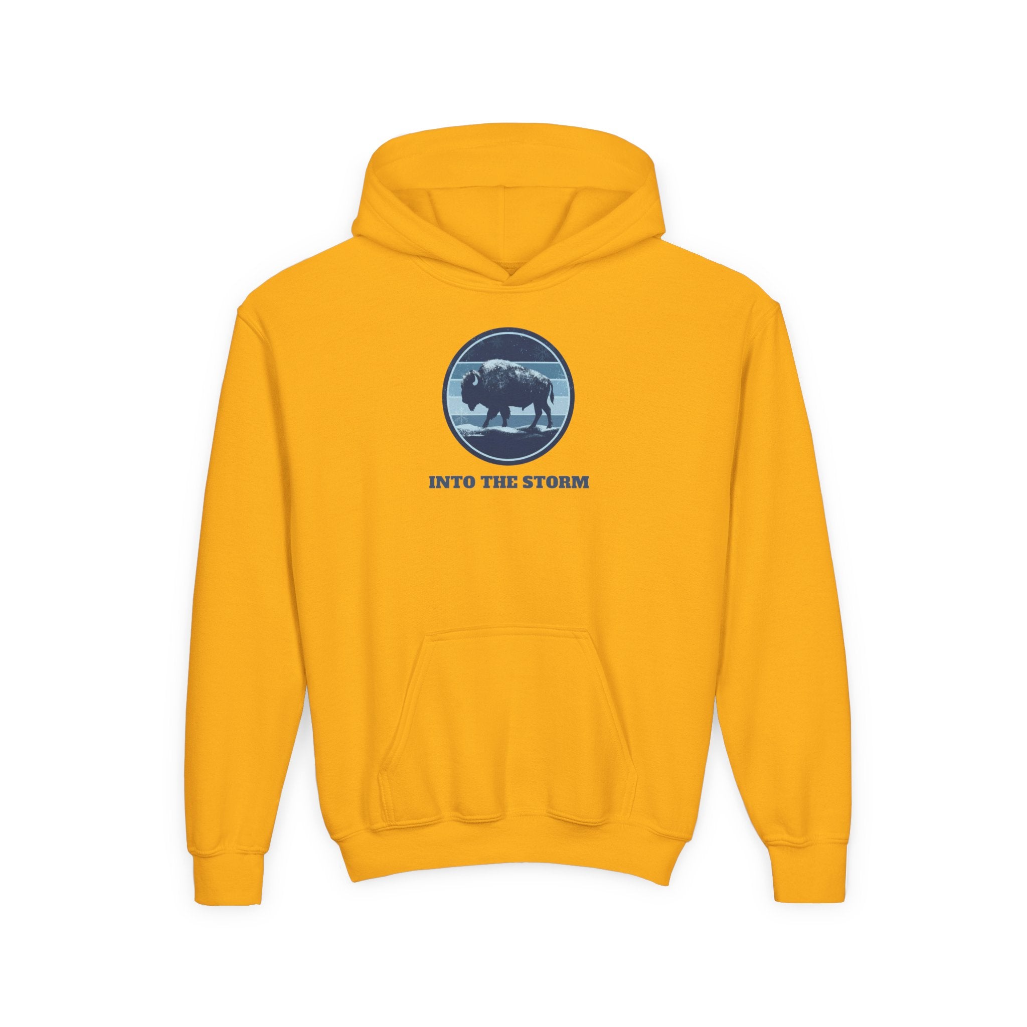 Into the Storm Bison Youth Hoodie