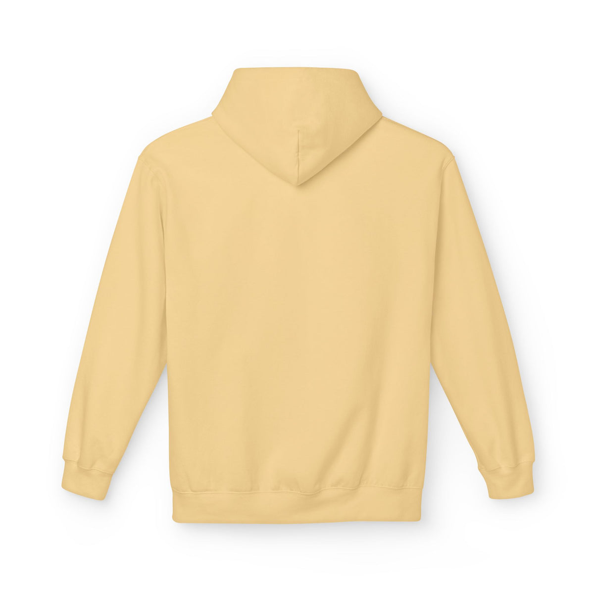 I'm Doing What I Can Hummingbird Graphic Hoodie