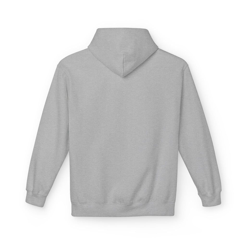 I'm Doing What I Can Hummingbird Graphic Hoodie