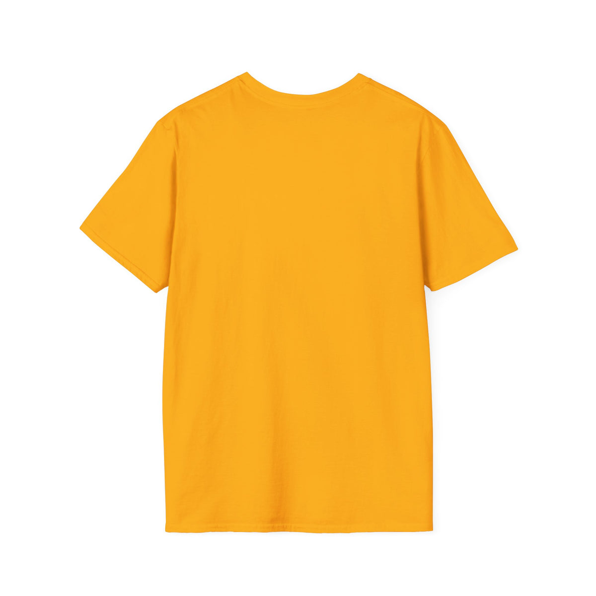 Retro Sunset Bison "Into the Storm" Graphic Tee