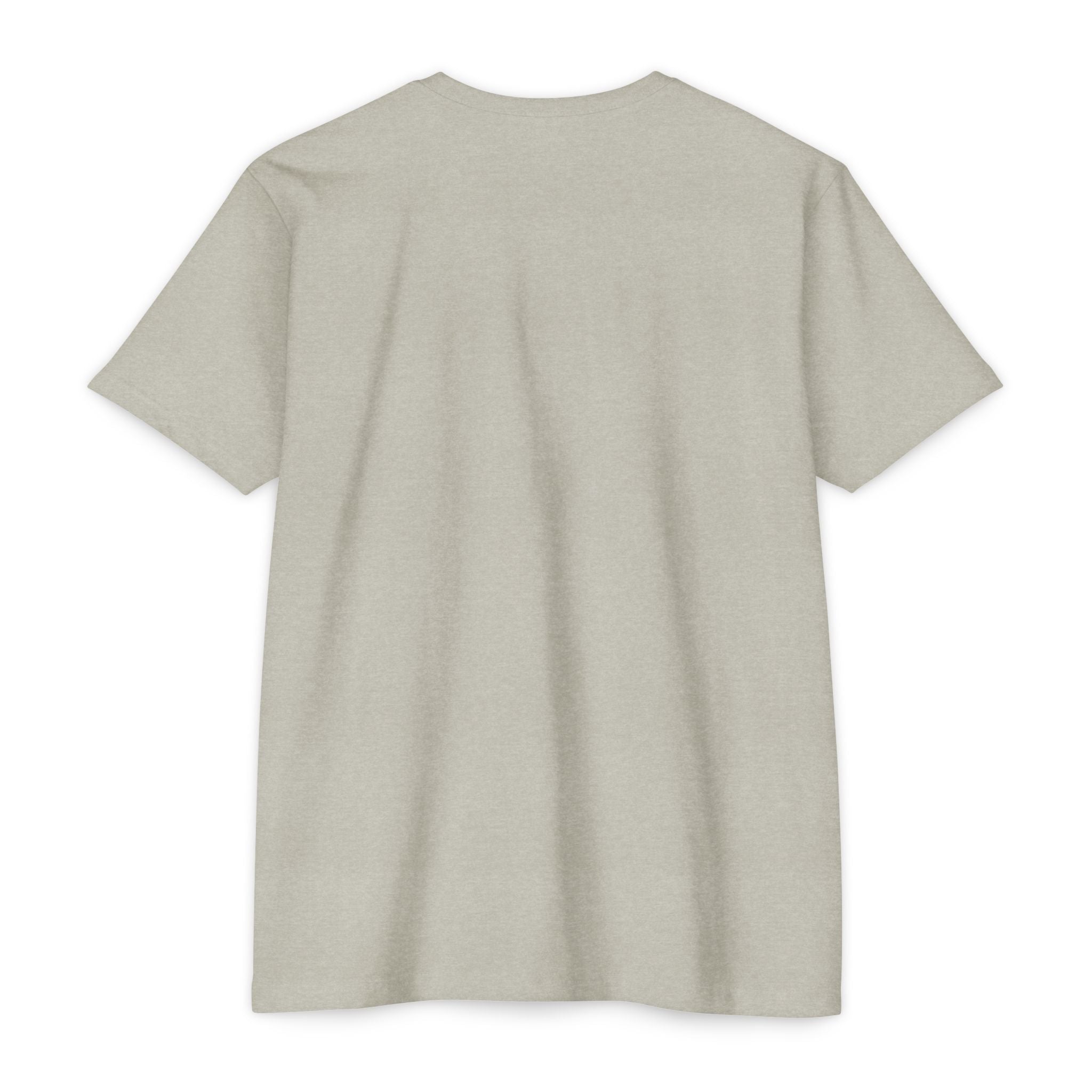 Thomas Paine Common Sense T-Shirt | Historical Typography Tee