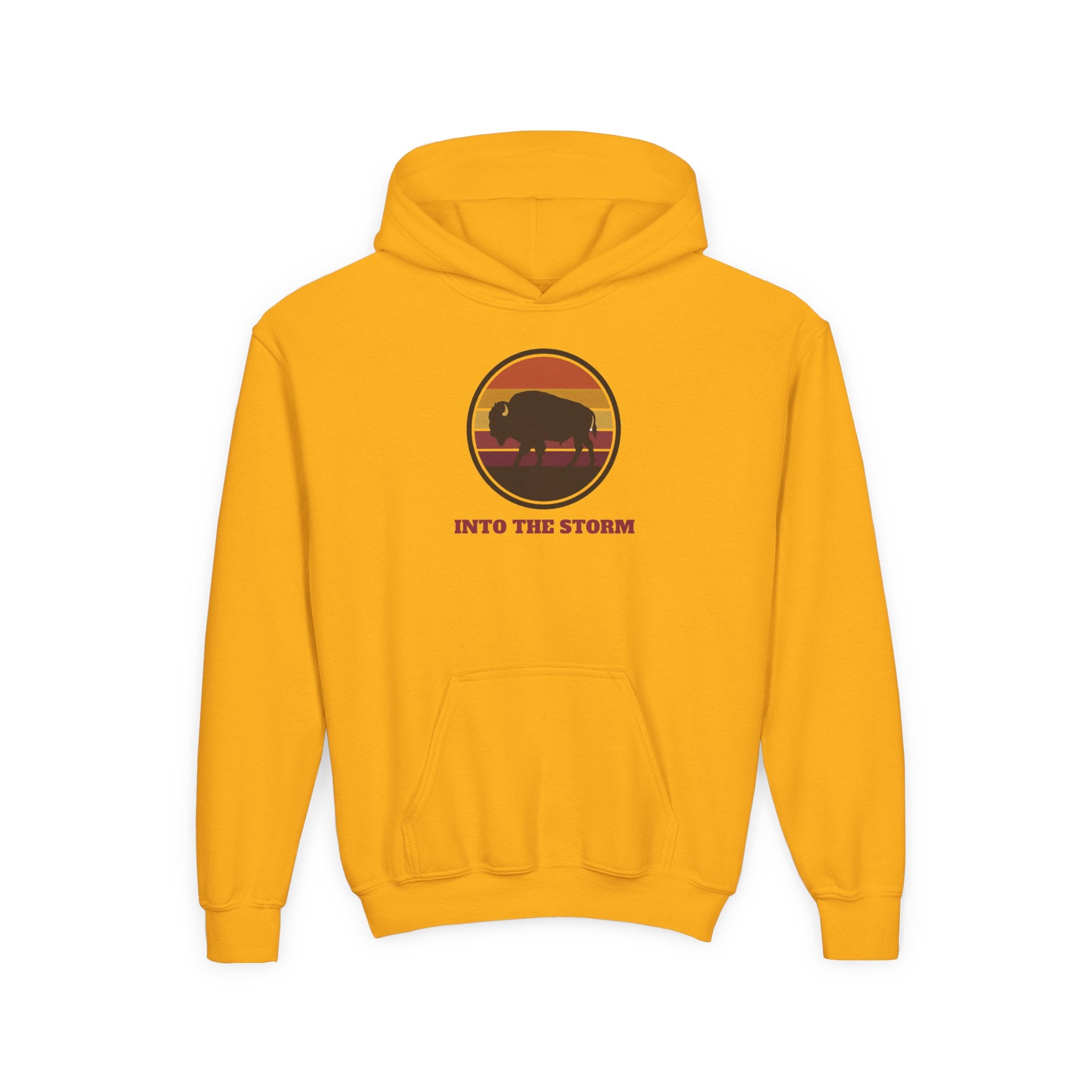 Retro Sunset Bison "Into the Storm" Graphic Youth Hoodie