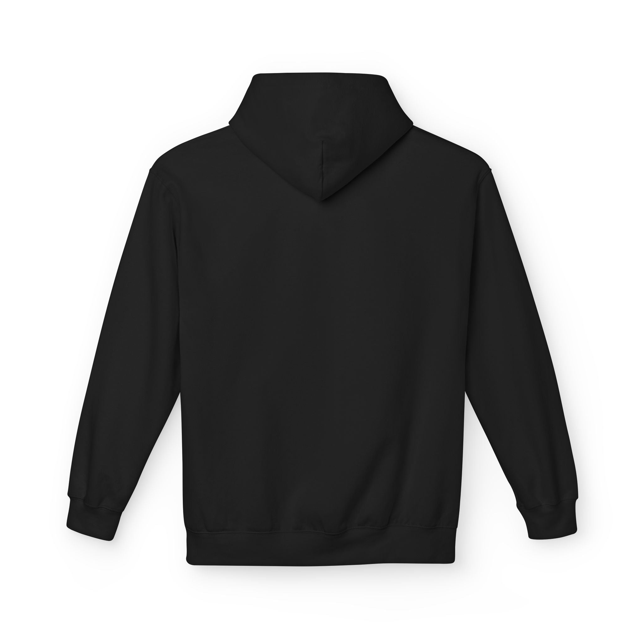 I'm Doing What I Can Hummingbird Graphic Hoodie
