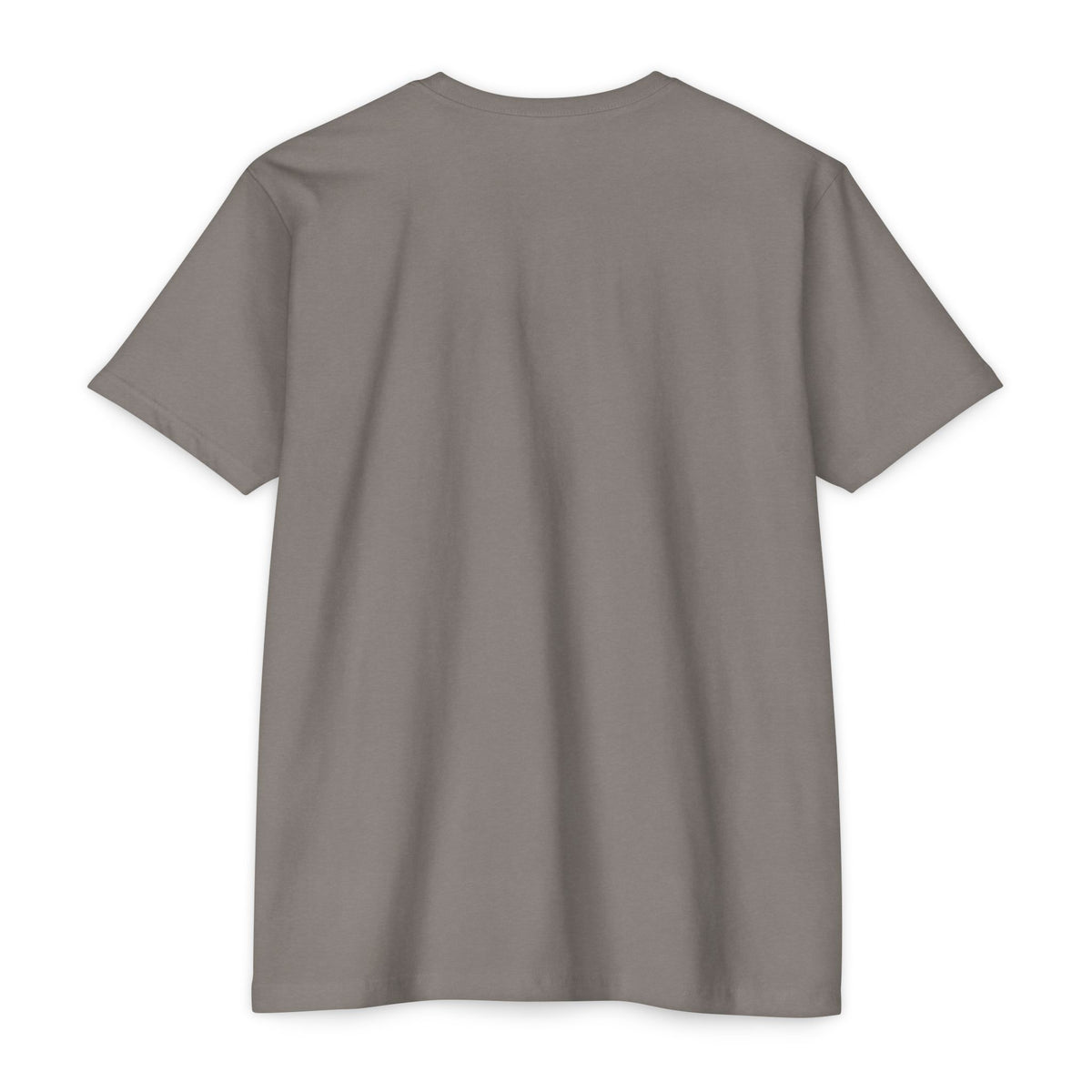 Retro Sunset Bison "Into the Storm" Graphic Tee