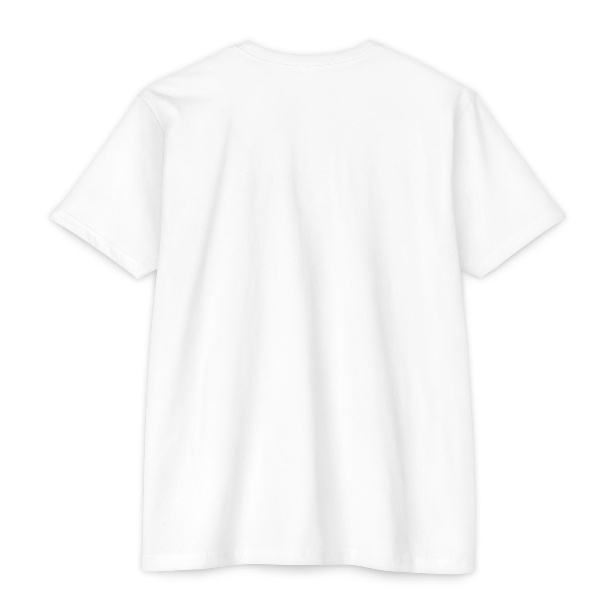 "I'm Doing What I Can" Hummingbird T-Shirt