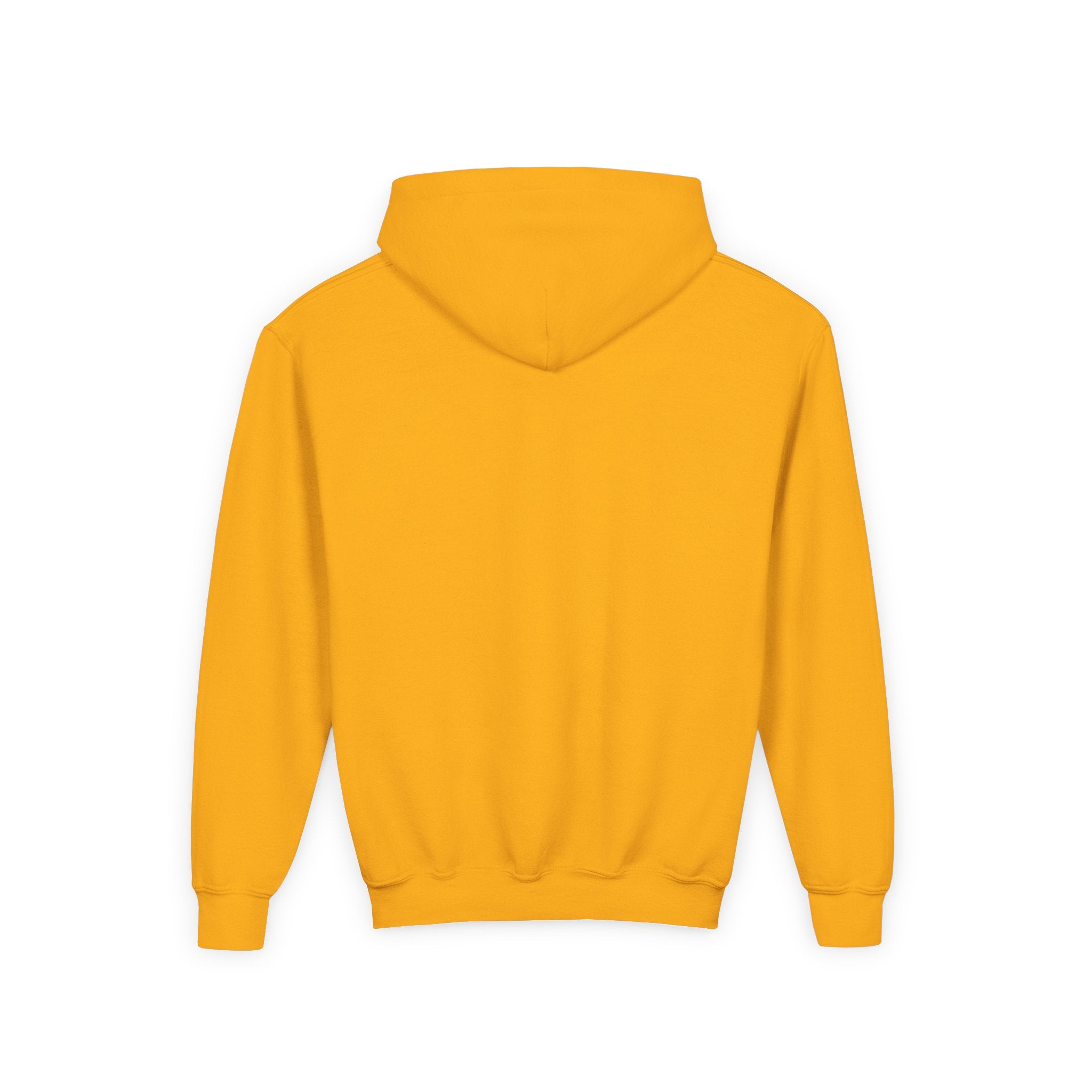 Into the Storm Bison Youth Hoodie