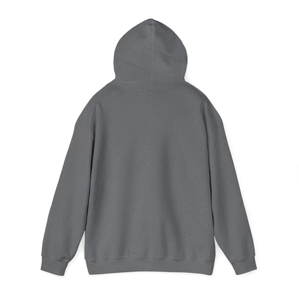 Retro Sunset Bison "Into the Storm" Graphic Hoodie