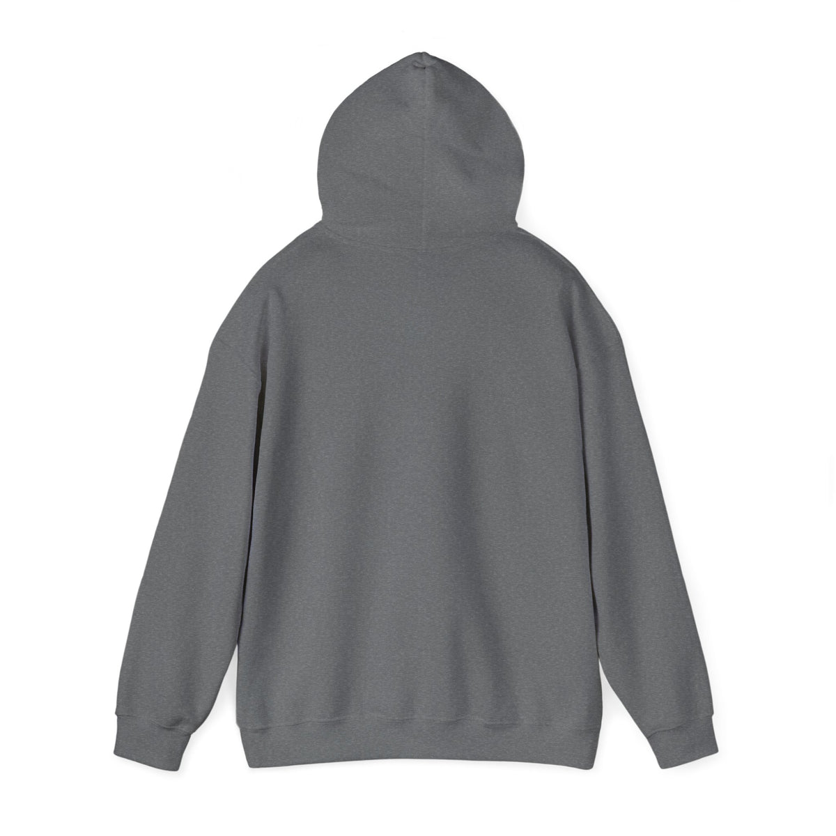 Retro Sunset Bison "Into the Storm" Graphic Hoodie