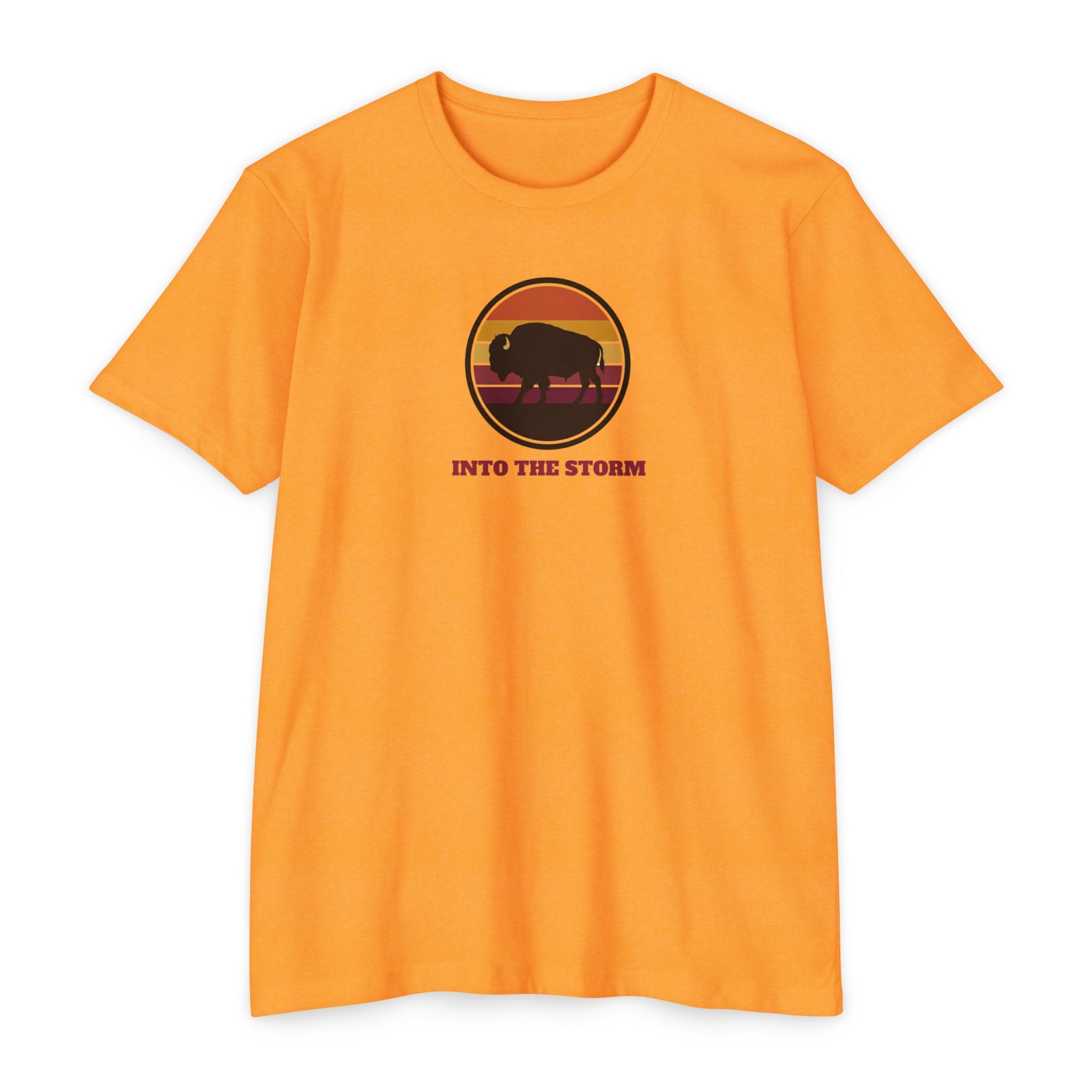 Retro Sunset Bison "Into the Storm" Graphic Tee