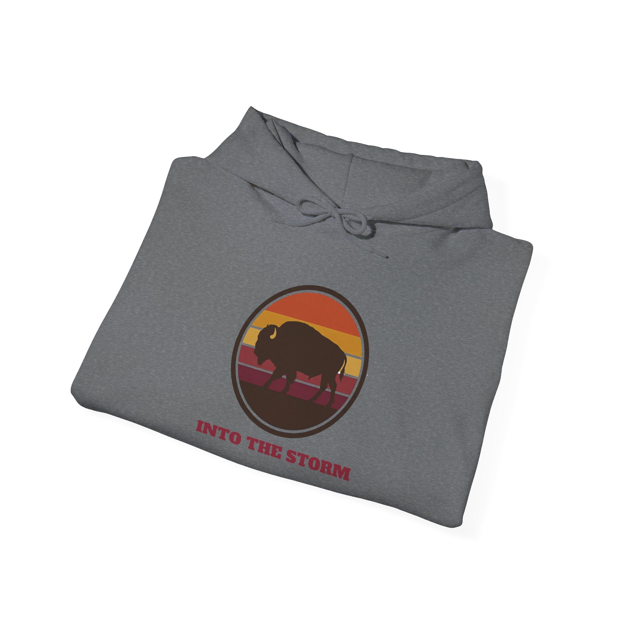 Retro Sunset Bison "Into the Storm" Graphic Hoodie