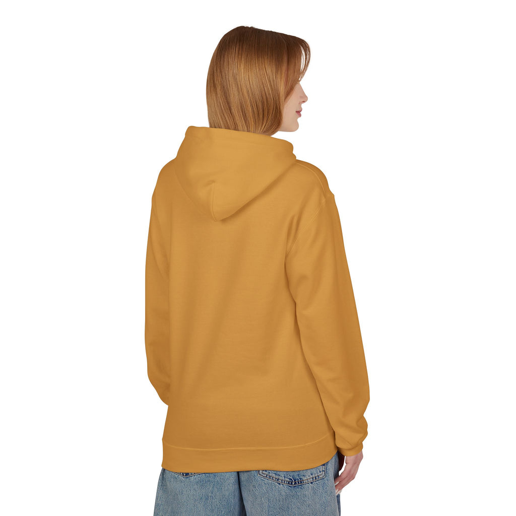 I'm Doing What I Can Hummingbird Graphic Hoodie