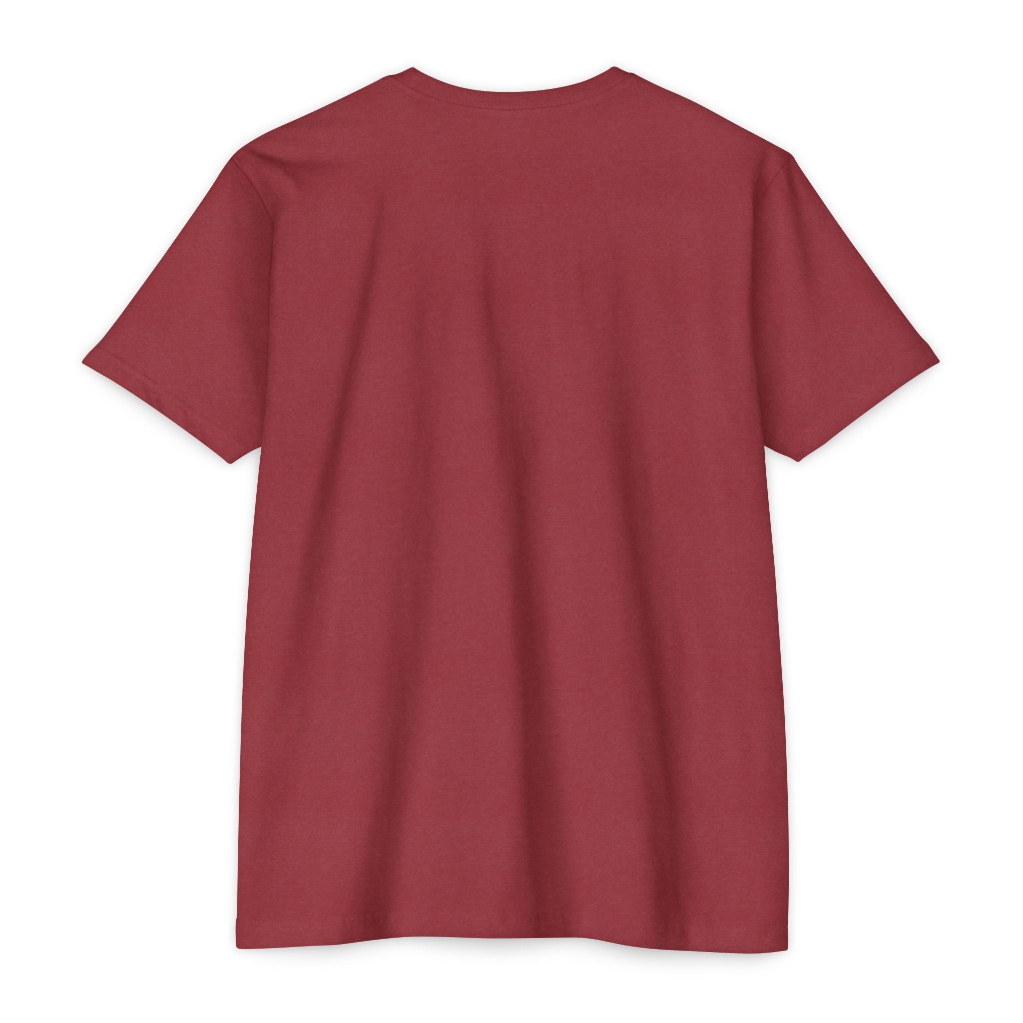 Thomas Paine Common Sense T-Shirt | Historical Typography Tee