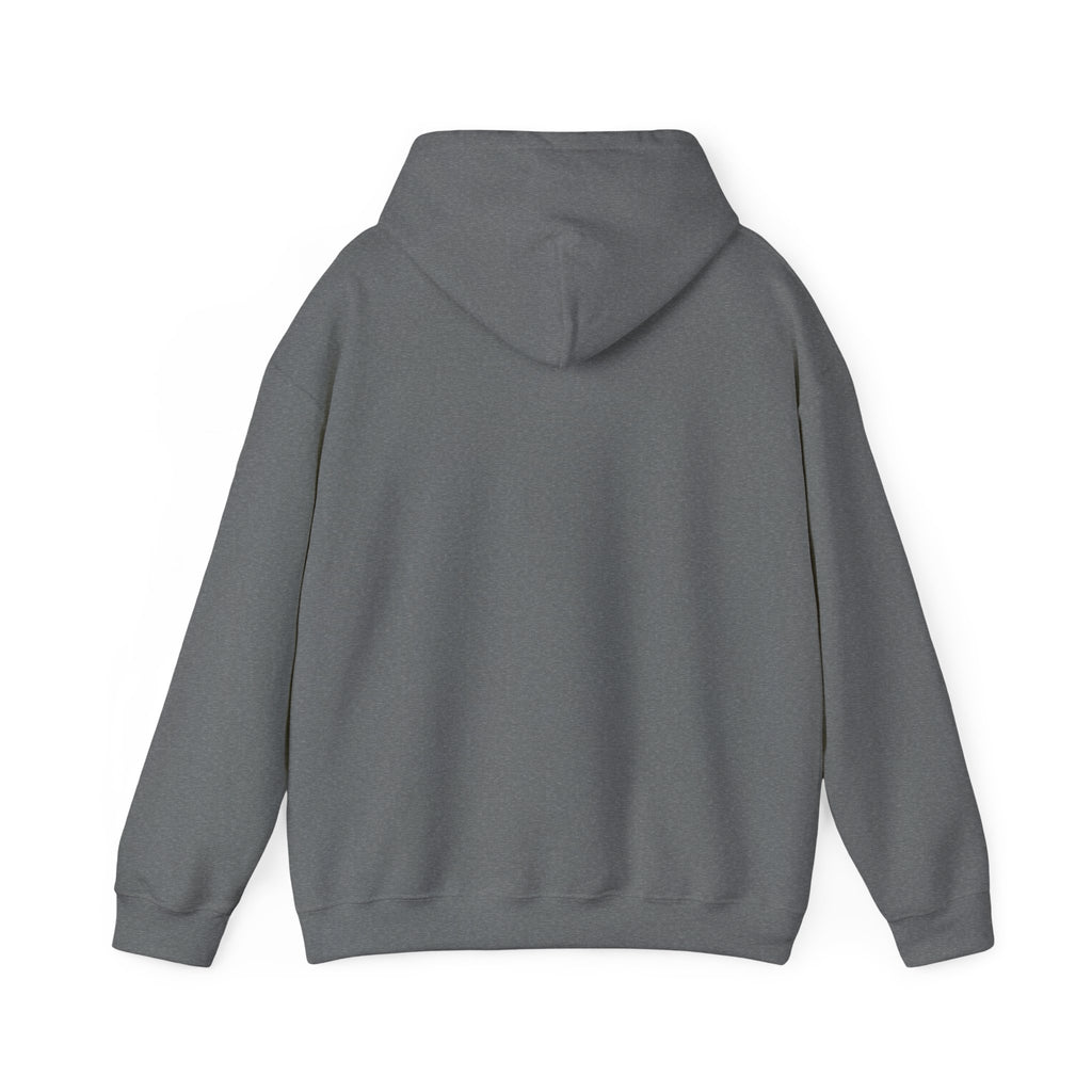 Retro Sunset Bison "Into the Storm" Graphic Hoodie