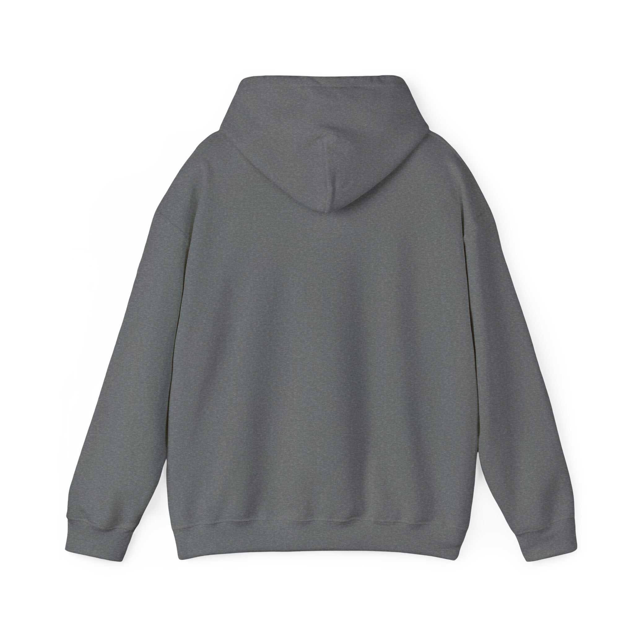 Retro Sunset Bison "Into the Storm" Graphic Hoodie