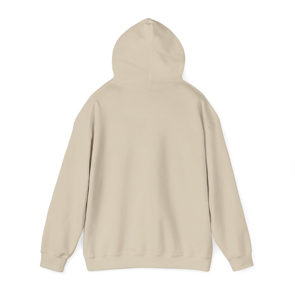 Retro Sunset Bison "Into the Storm" Graphic Hoodie