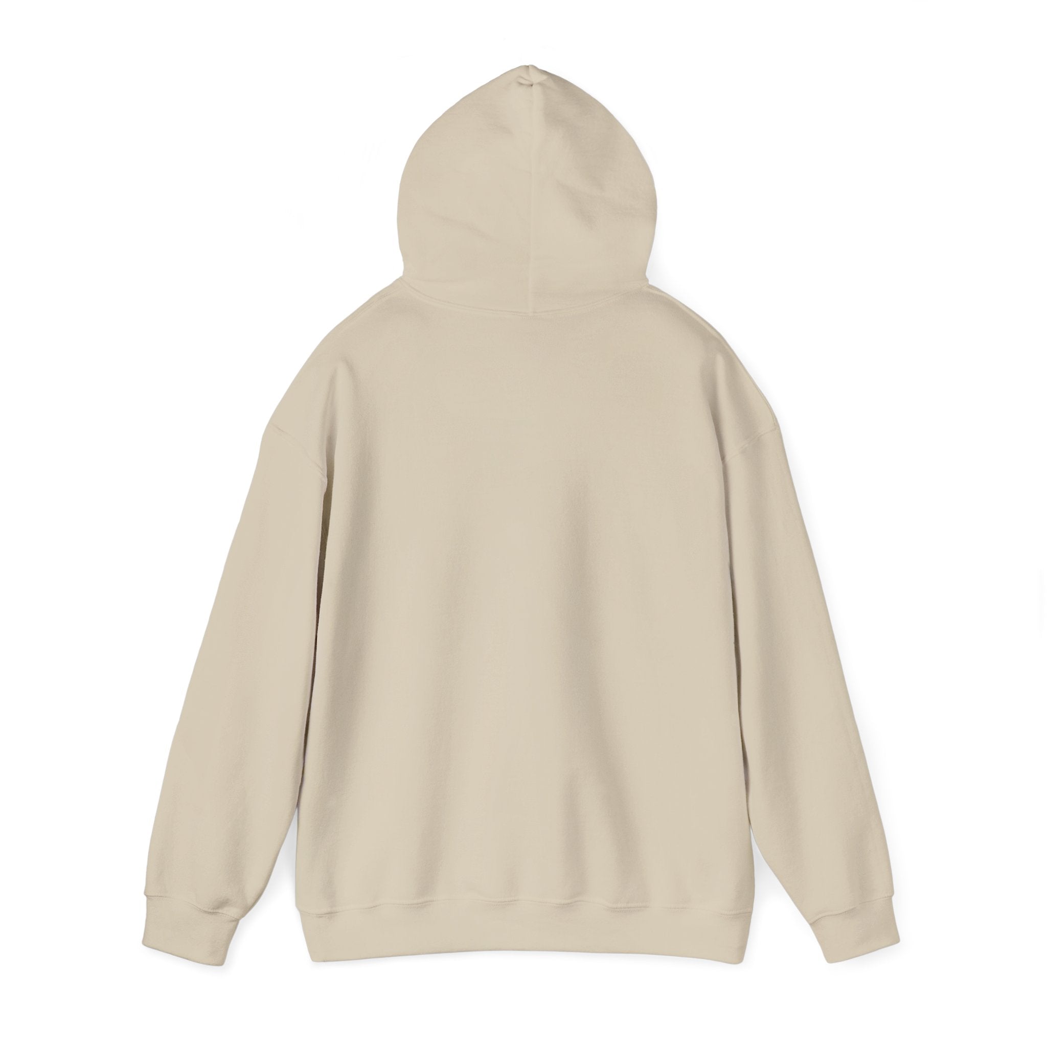 Retro Sunset Bison "Into the Storm" Graphic Hoodie