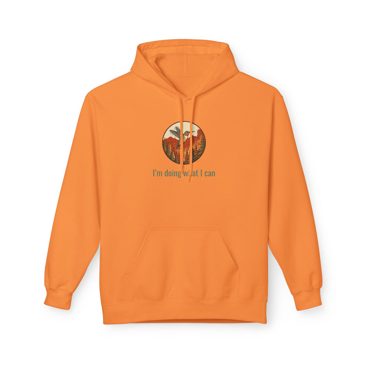 I'm Doing What I Can Hummingbird Graphic Hoodie