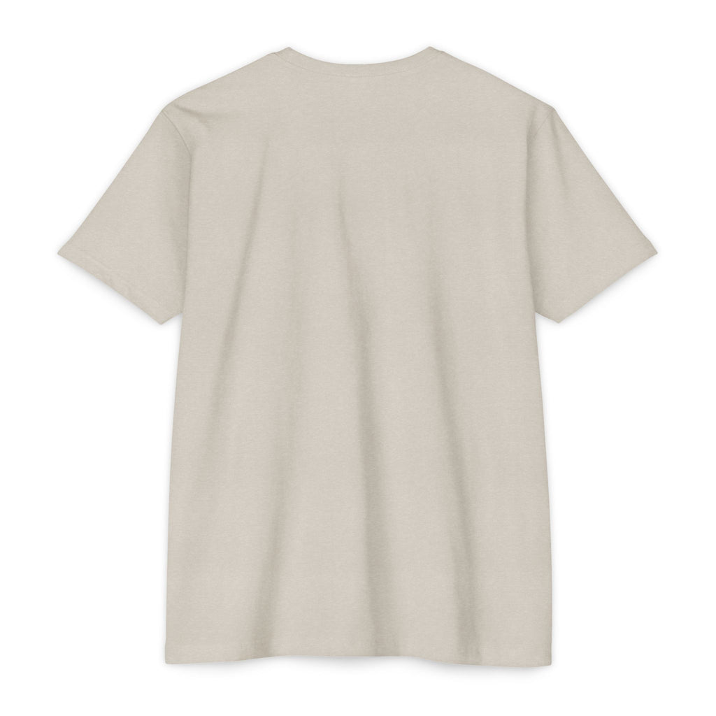 Thomas Paine Common Sense T-Shirt | Historical Typography Tee