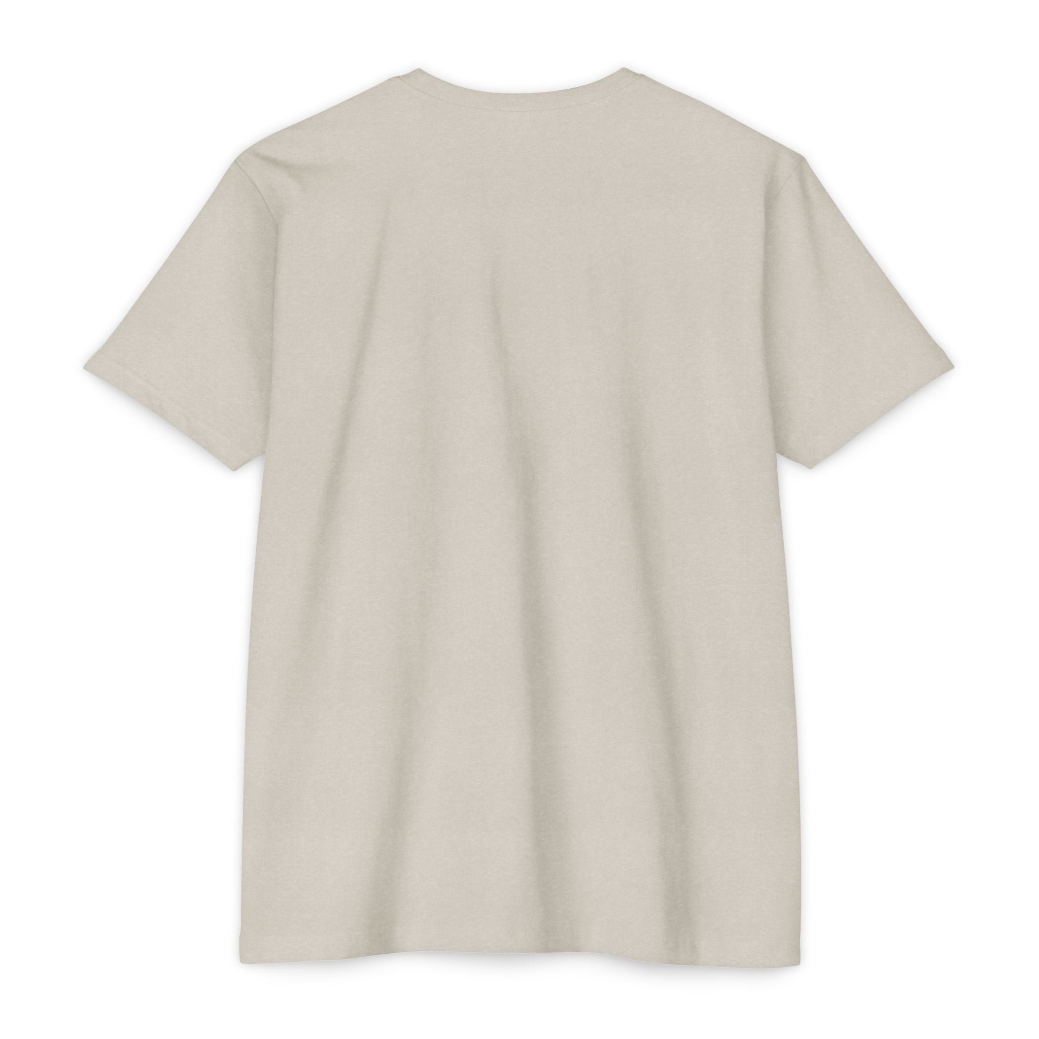 Thomas Paine Common Sense T-Shirt | Historical Typography Tee