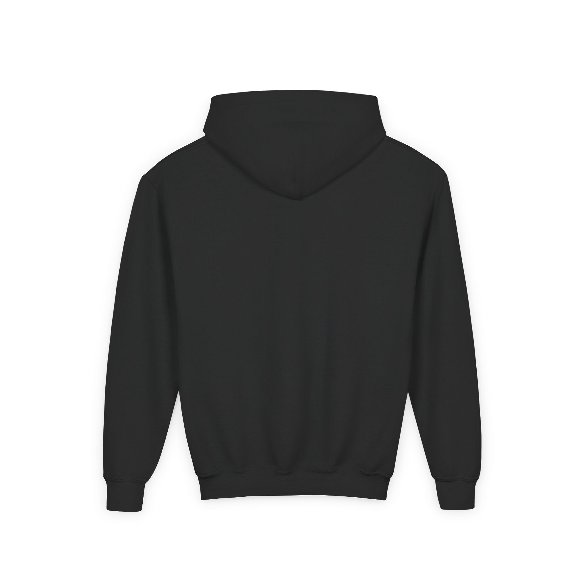 Retro Sunset Bison "Into the Storm" Graphic Youth Hoodie