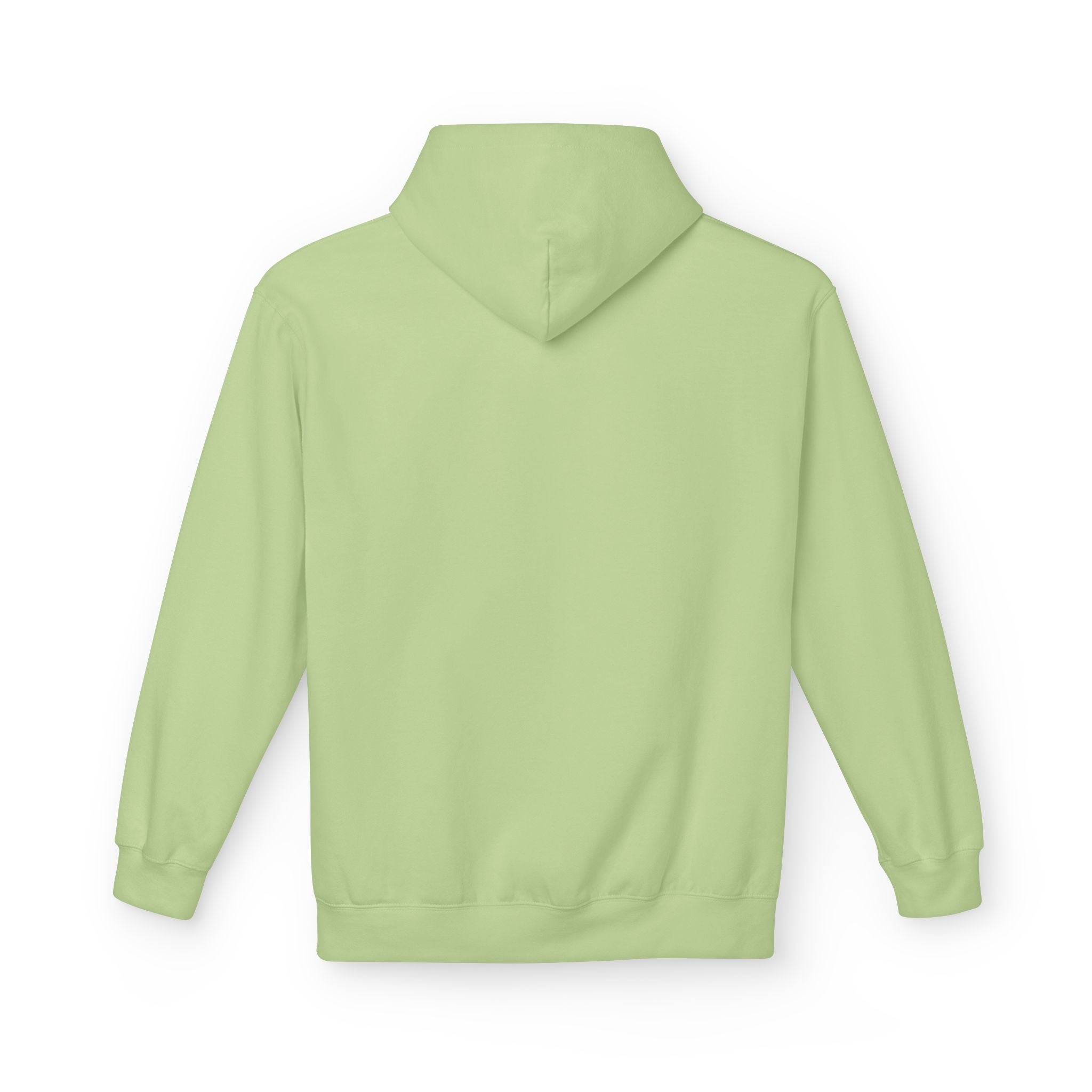 I'm Doing What I Can Hummingbird Graphic Hoodie