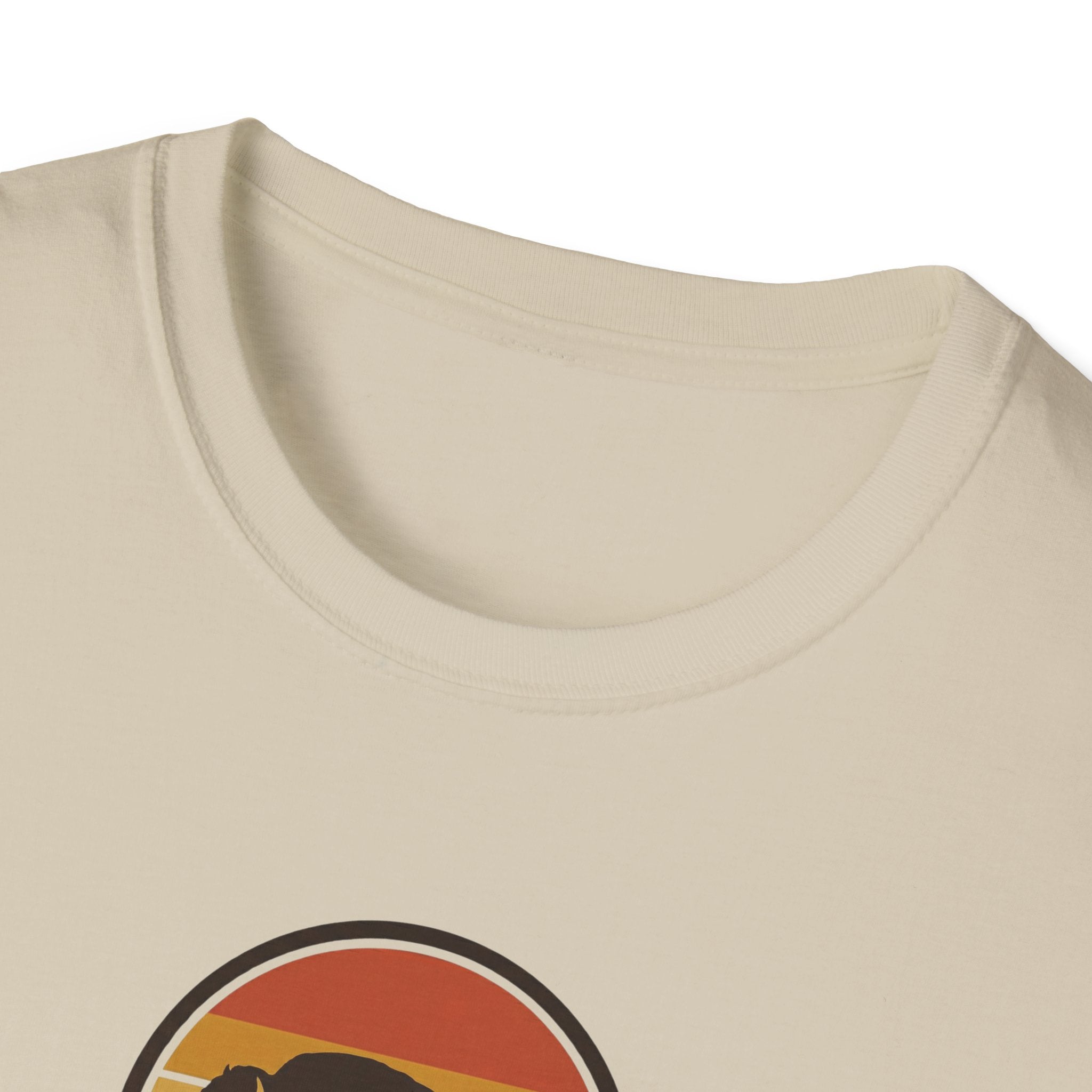 Retro Sunset Bison "Into the Storm" Graphic Tee