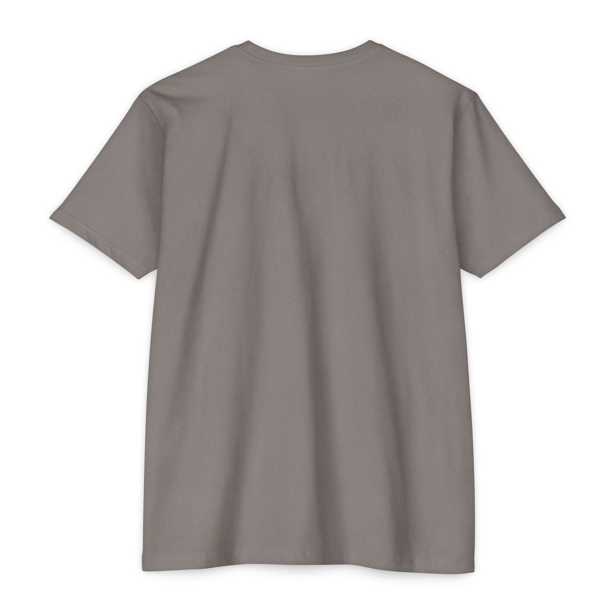 Thomas Paine Common Sense T-Shirt | Historical Typography Tee