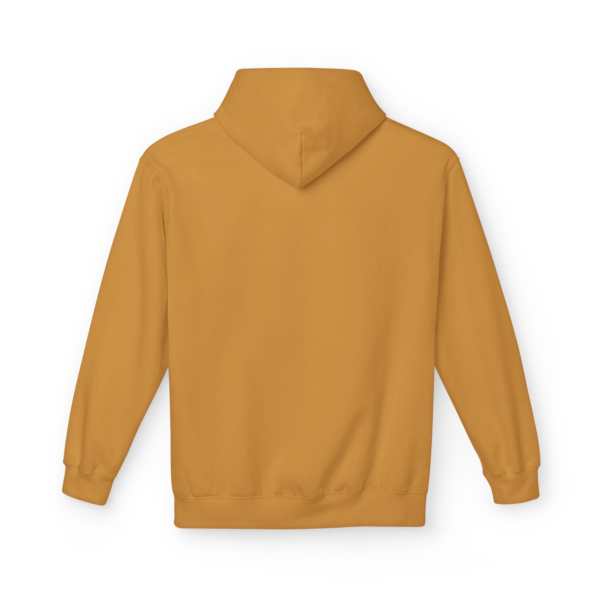 I'm Doing What I Can Hummingbird Graphic Hoodie