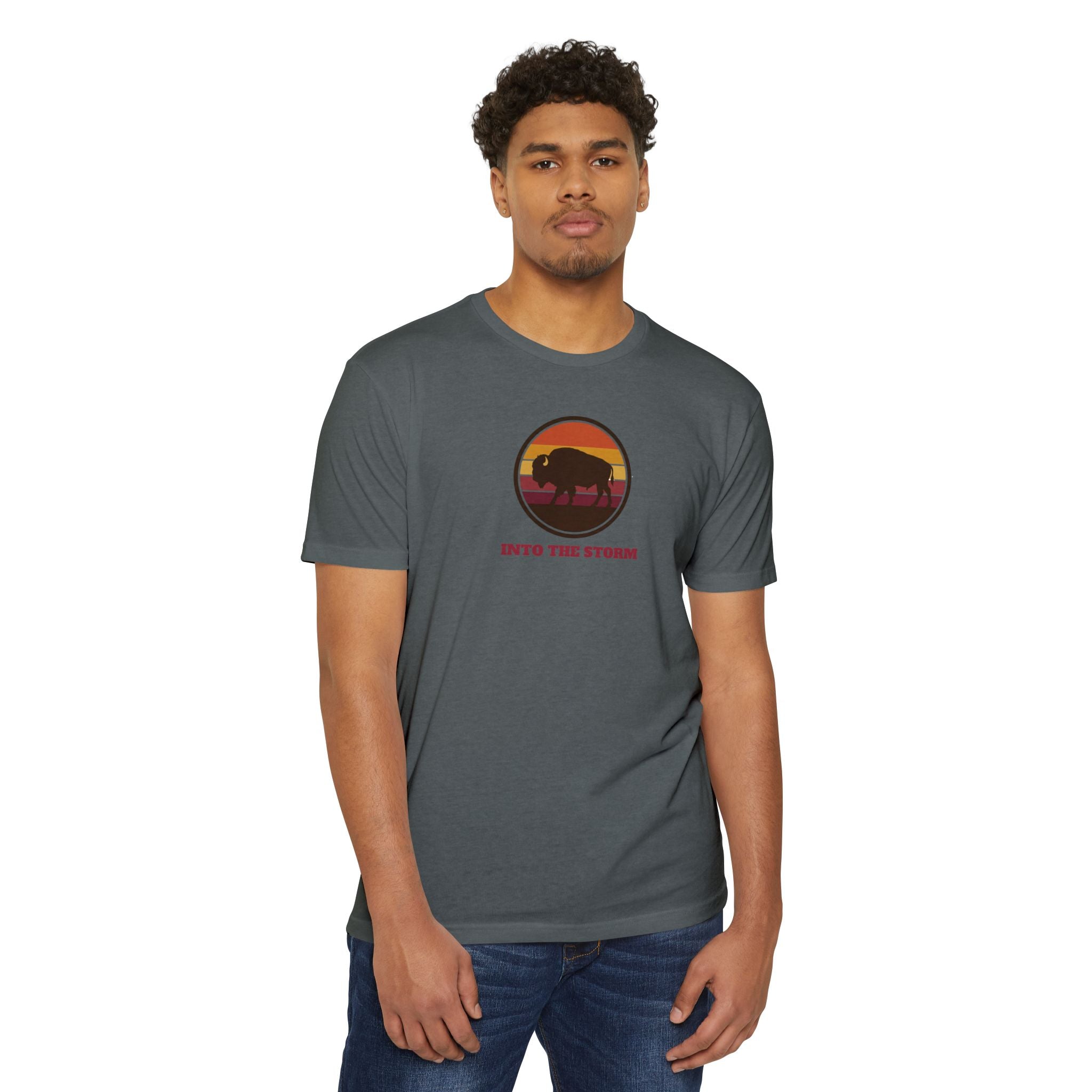 Retro Sunset Bison "Into the Storm" Graphic Tee