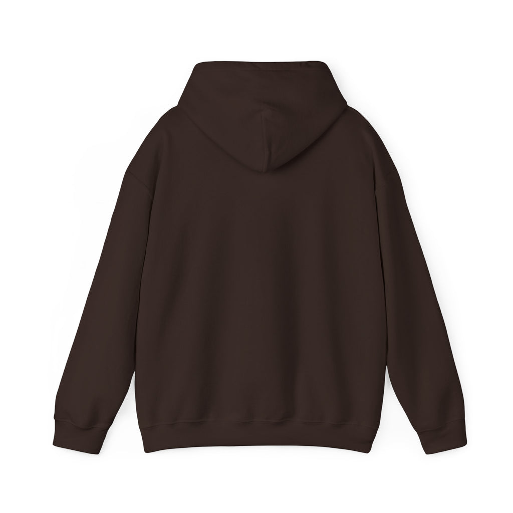 Retro Sunset Bison "Into the Storm" Graphic Hoodie