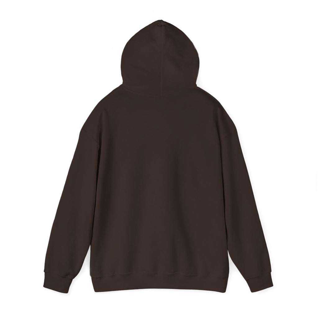 Retro Sunset Bison "Into the Storm" Graphic Hoodie