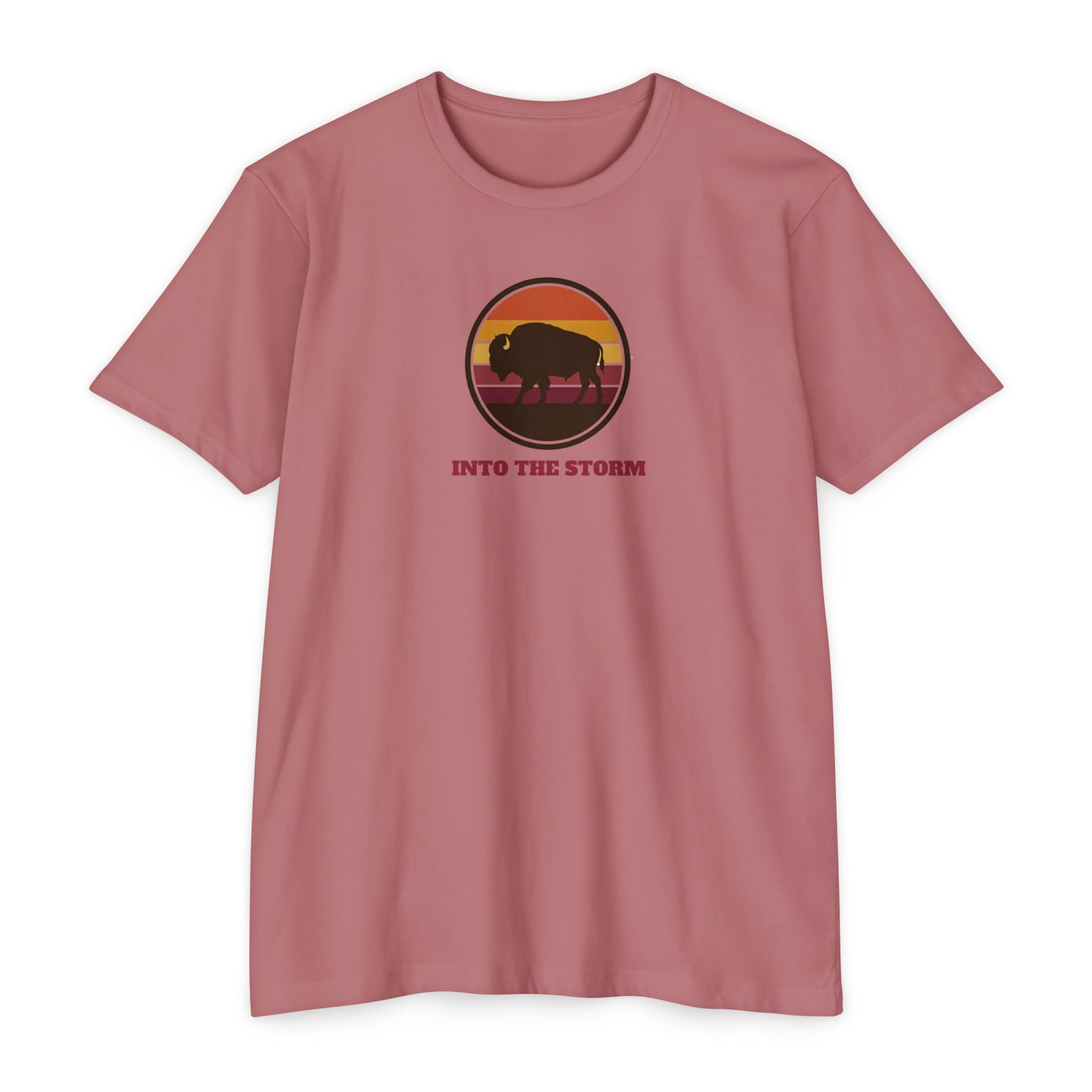 Retro Sunset Bison "Into the Storm" Graphic Tee