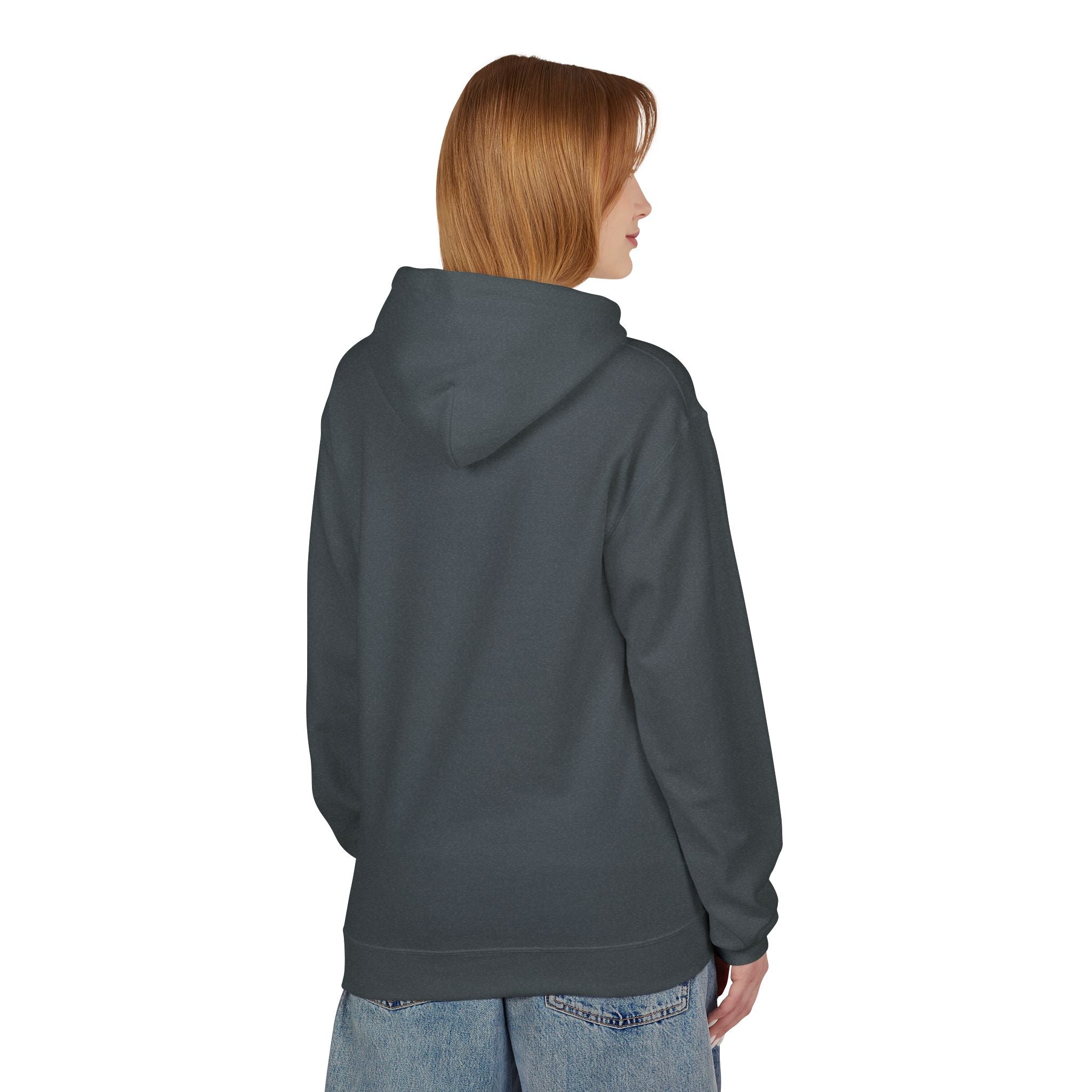 I'm Doing What I Can Hummingbird Graphic Hoodie
