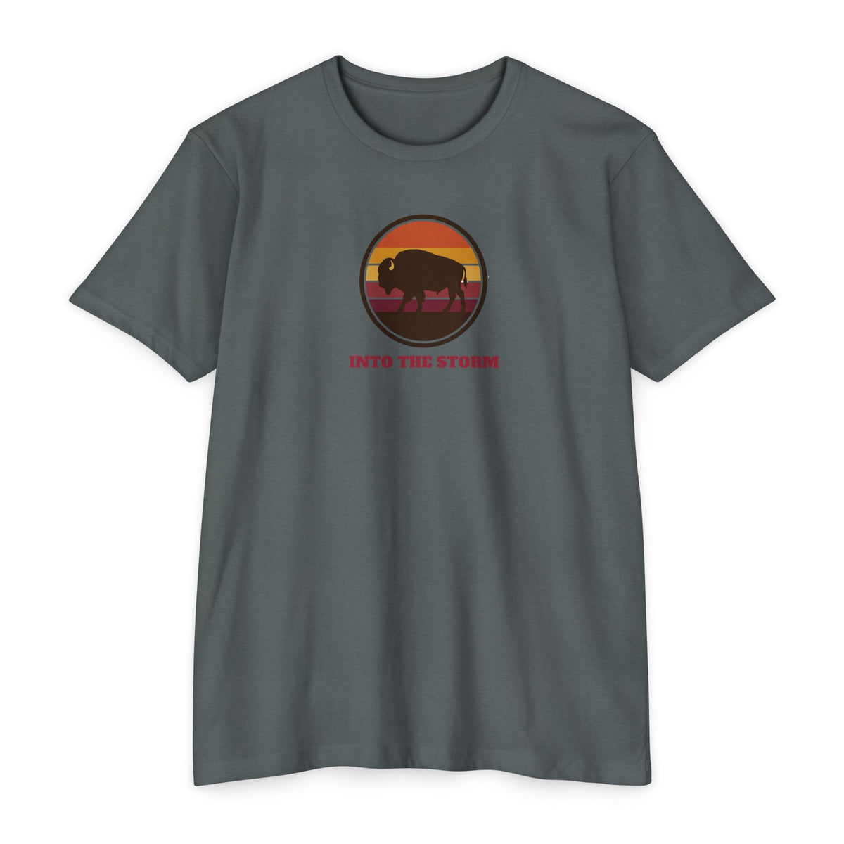 Retro Sunset Bison "Into the Storm" Graphic Tee