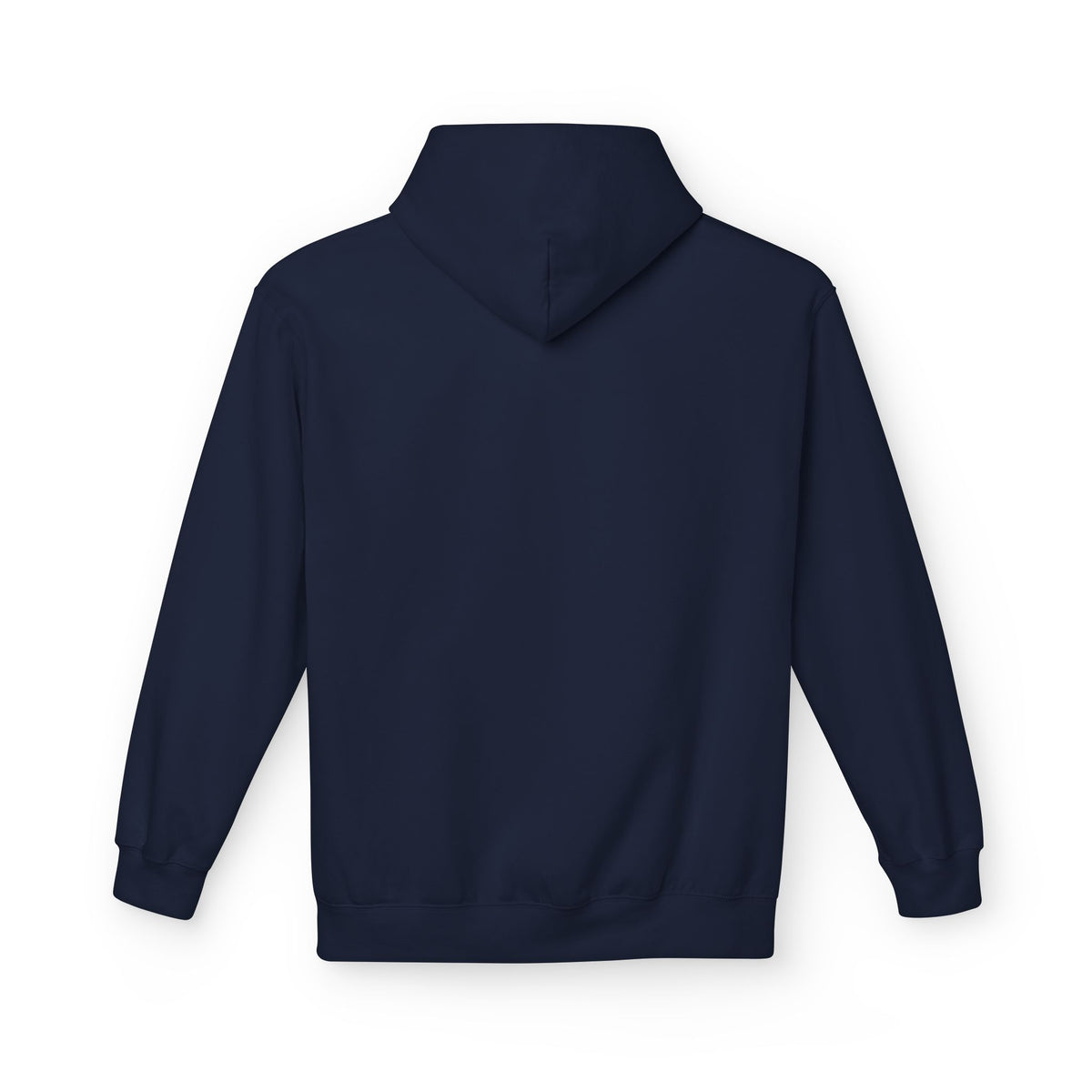 I'm Doing What I Can Hummingbird Graphic Hoodie