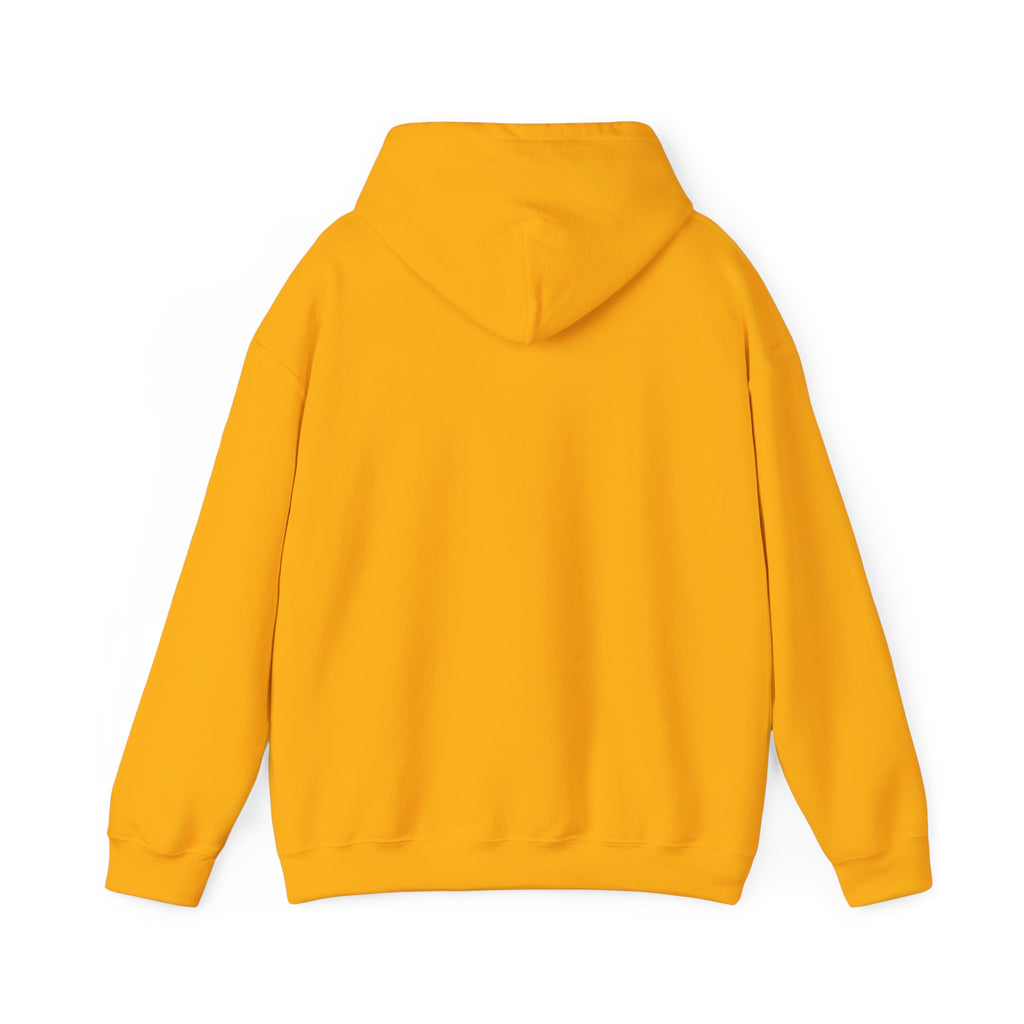 Retro Sunset Bison "Into the Storm" Graphic Hoodie