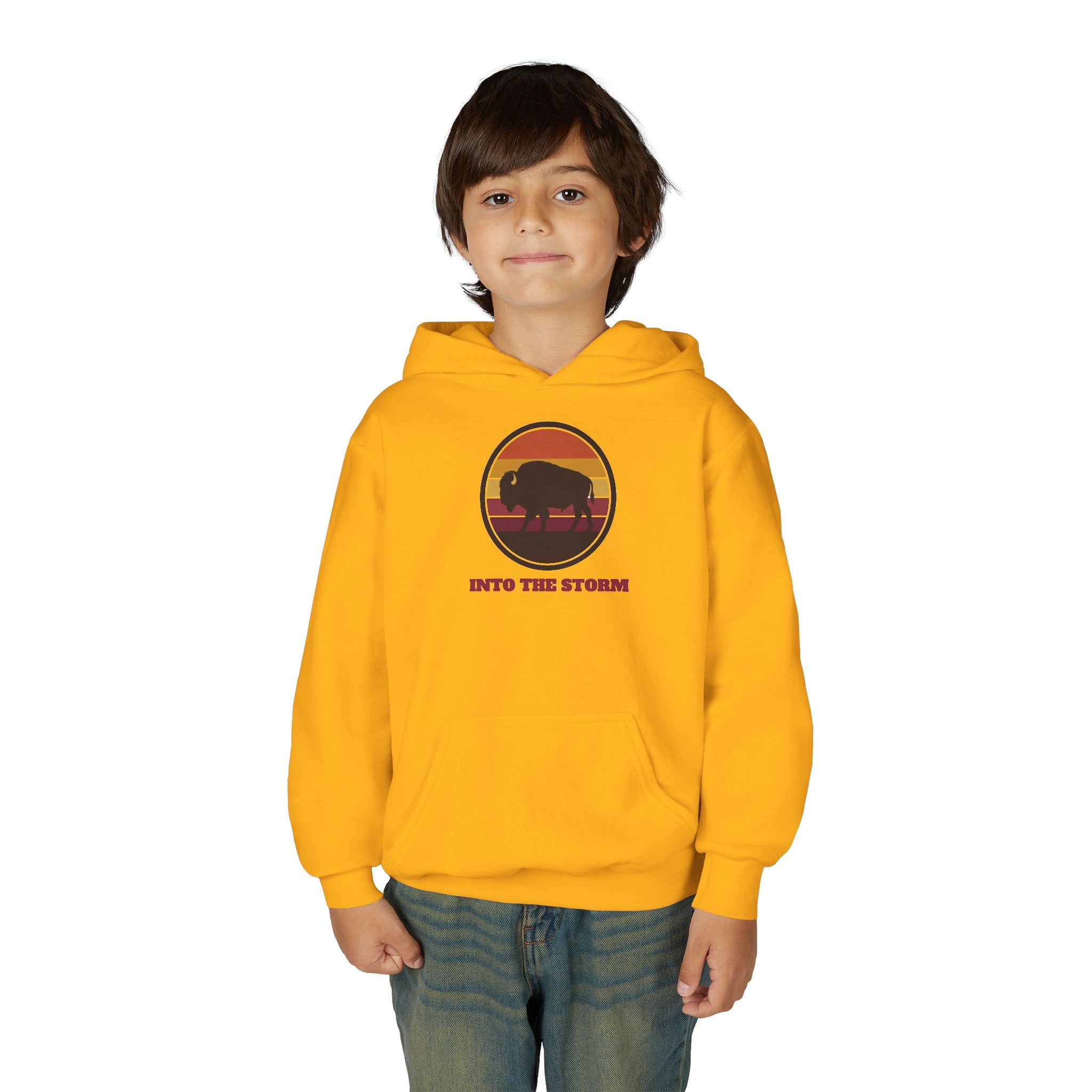 Retro Sunset Bison "Into the Storm" Graphic Youth Hoodie