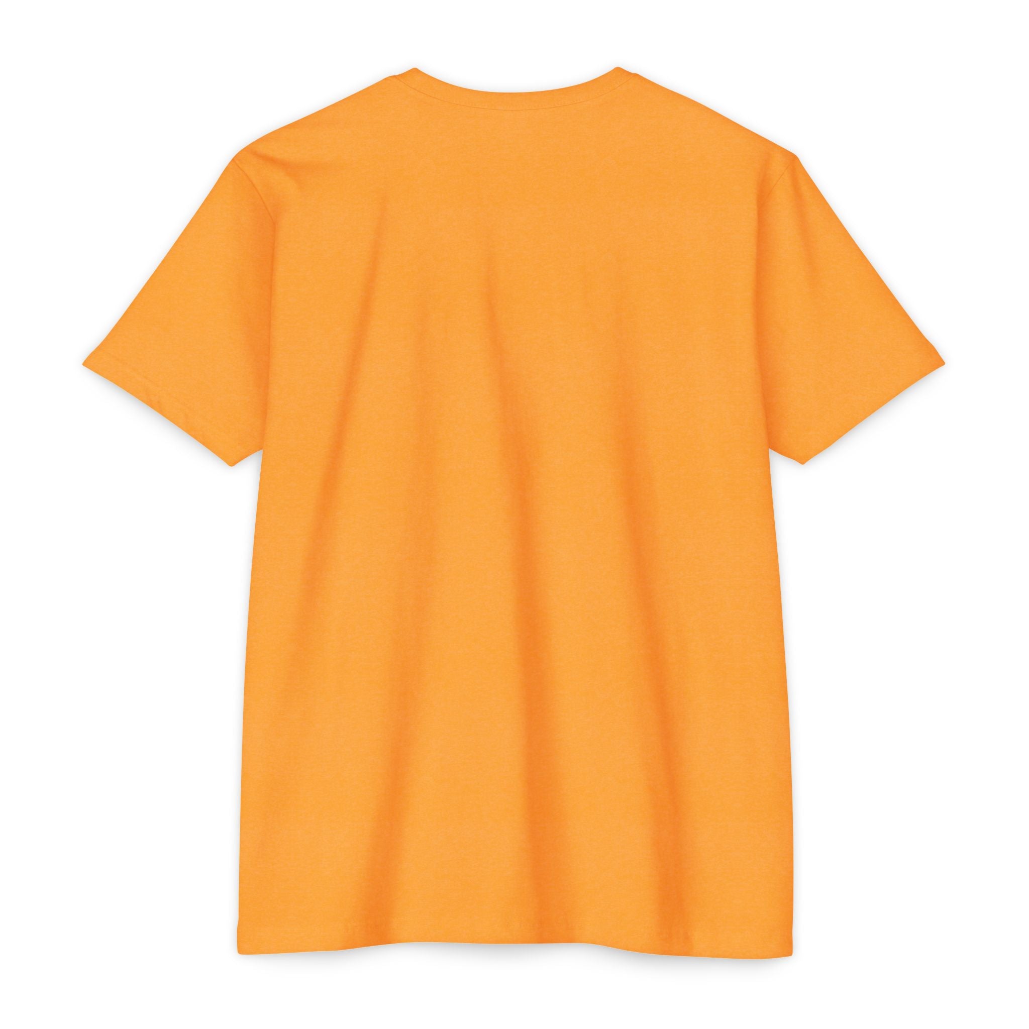 Retro Sunset Bison "Into the Storm" Graphic Tee