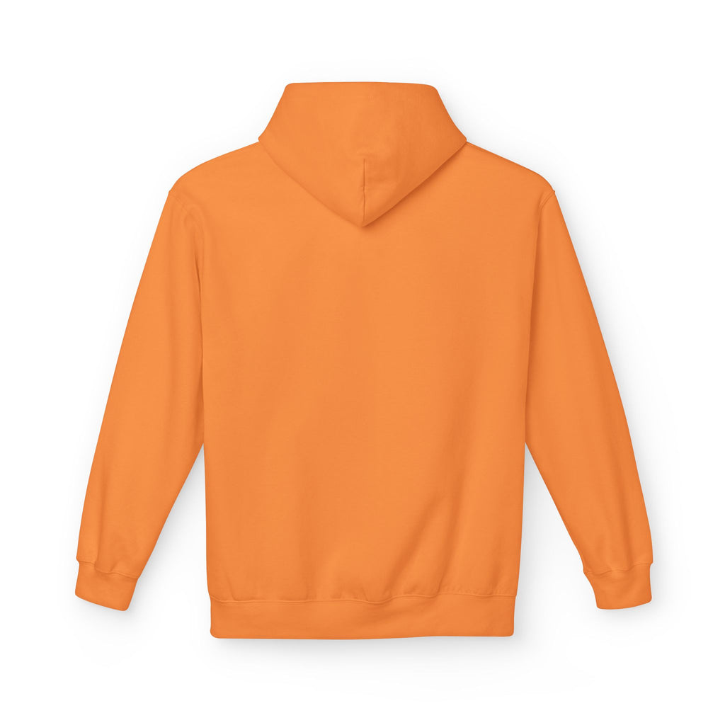 I'm Doing What I Can Hummingbird Graphic Hoodie