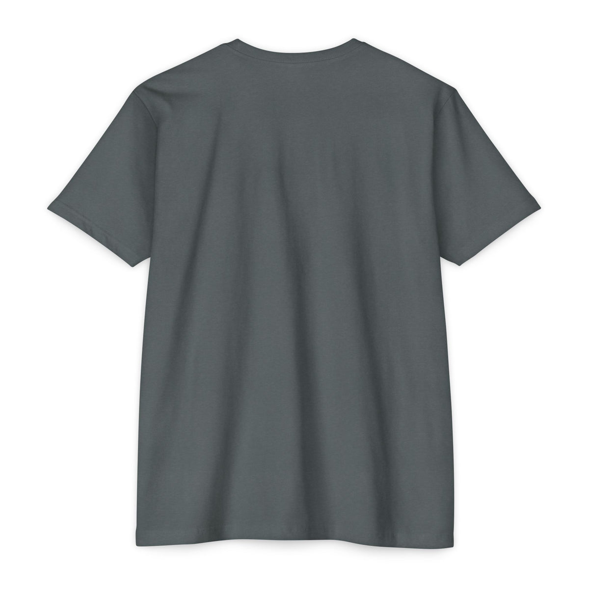 "I'm Doing What I Can" Hummingbird T-Shirt