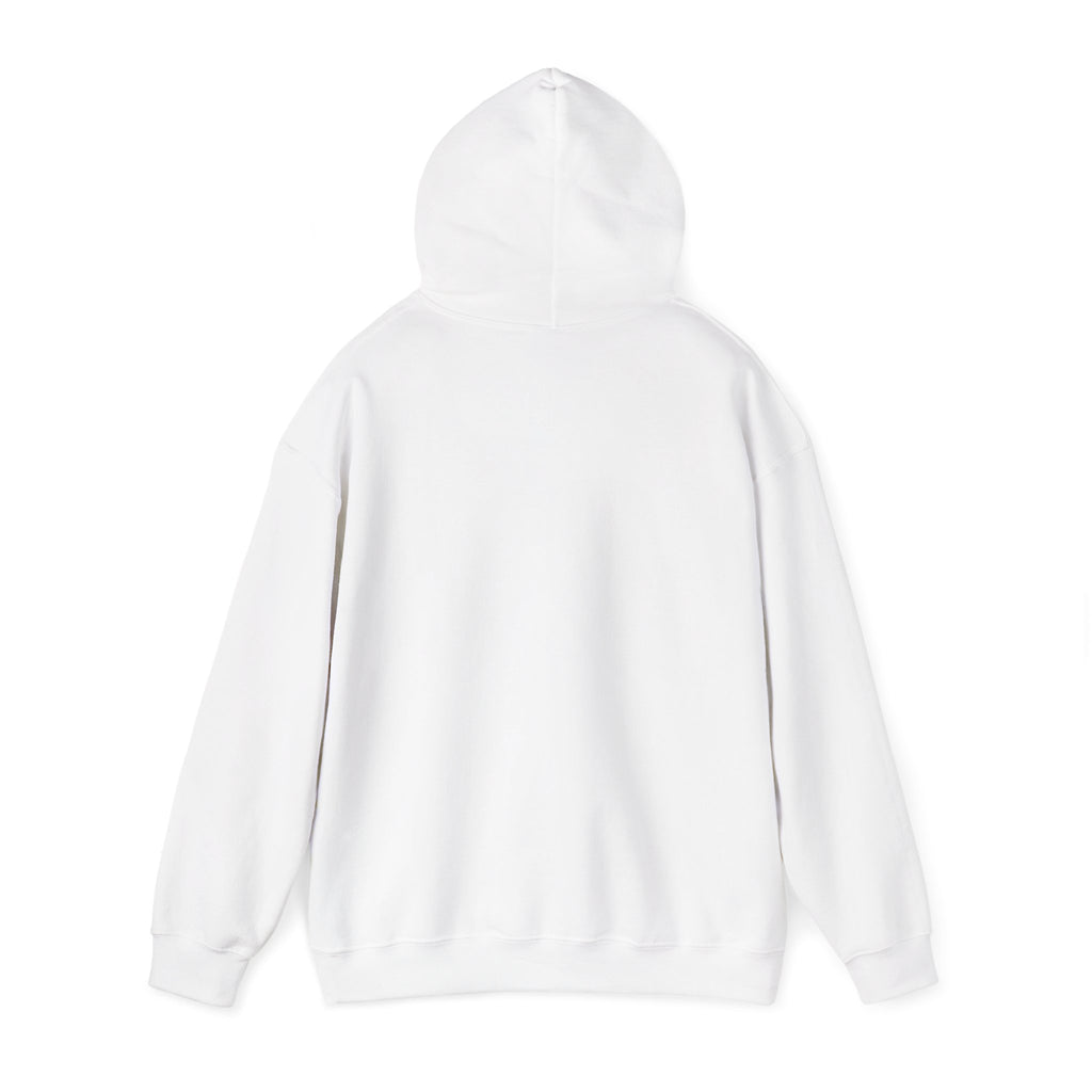 Retro Sunset Bison "Into the Storm" Graphic Hoodie