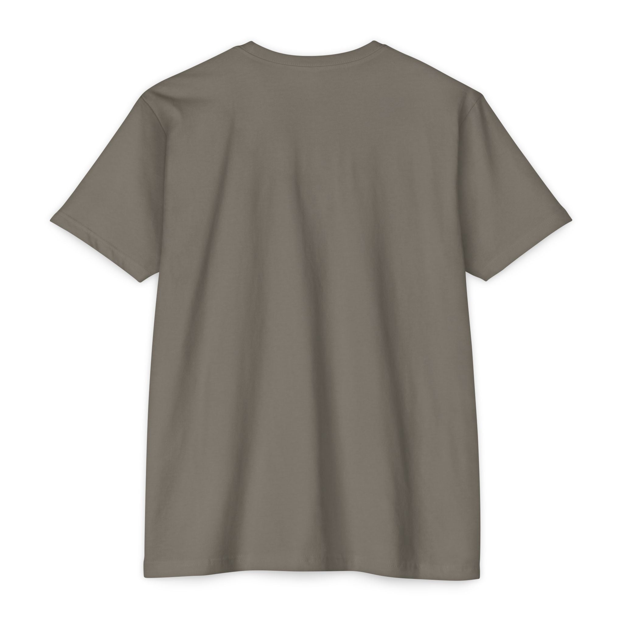 Thomas Paine Common Sense T-Shirt | Historical Typography Tee