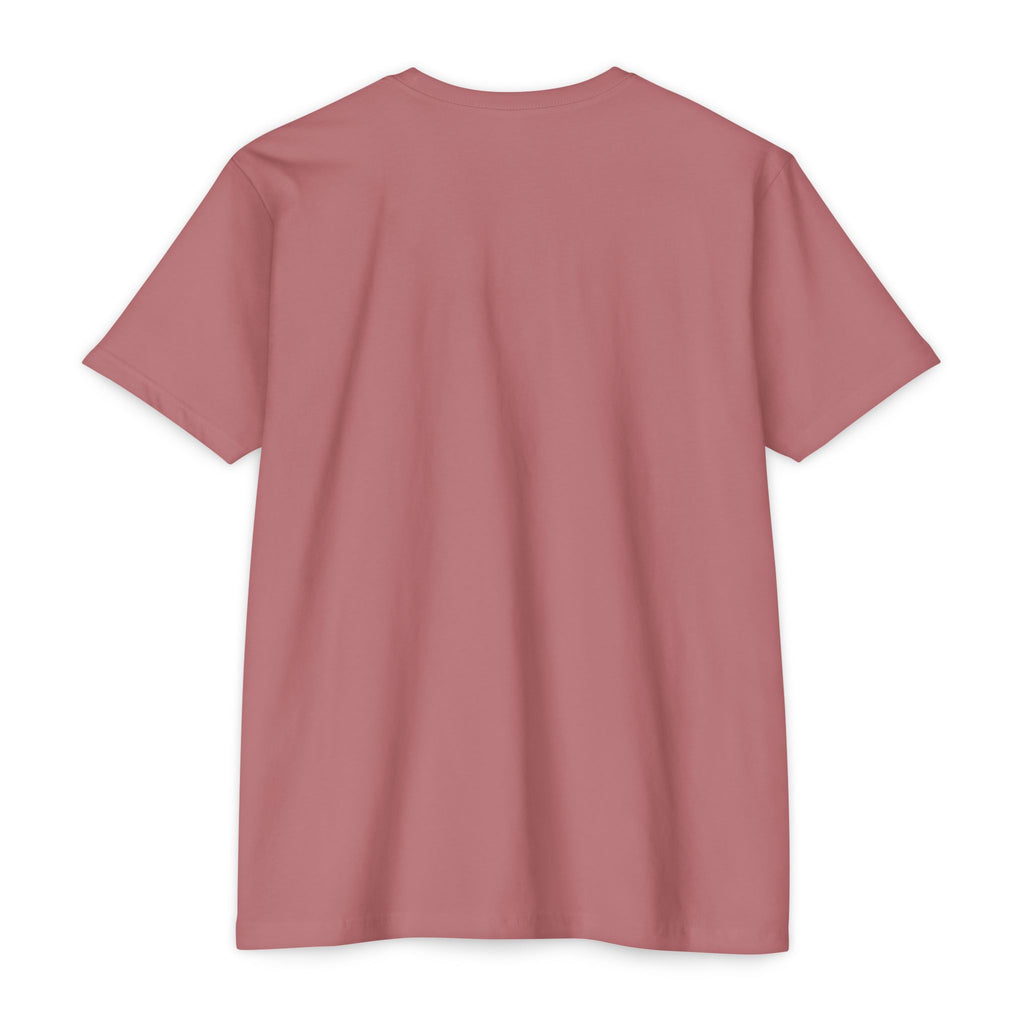 Thomas Paine Common Sense T-Shirt | Historical Typography Tee