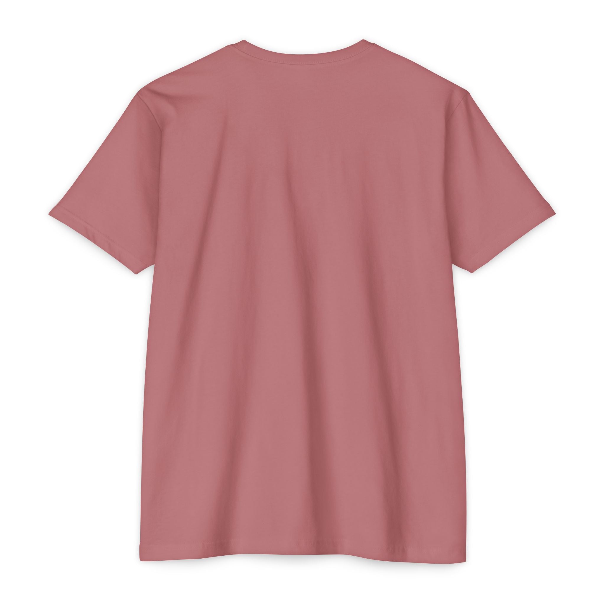 Thomas Paine Common Sense T-Shirt | Historical Typography Tee