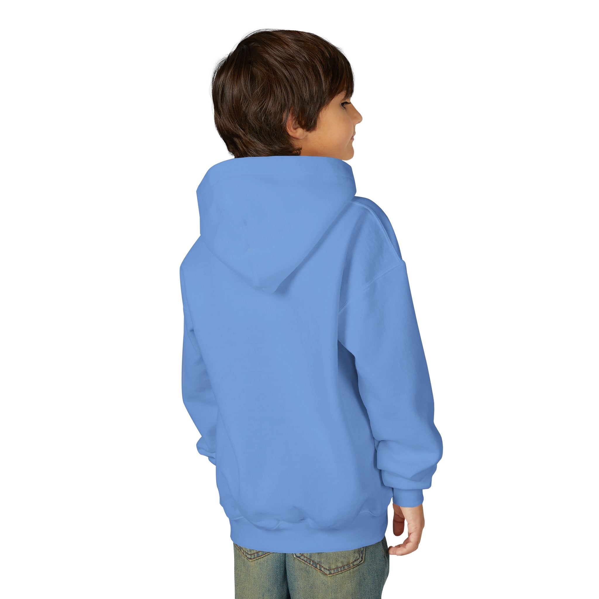 Into the Storm Bison Youth Hoodie