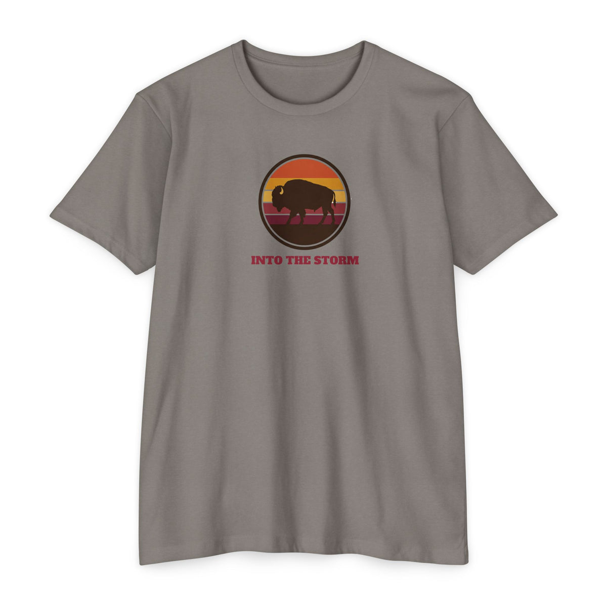 Retro Sunset Bison "Into the Storm" Graphic Tee