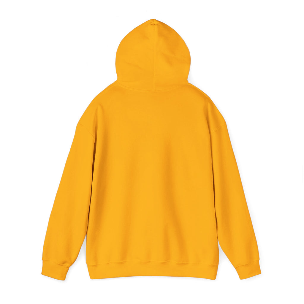 Retro Sunset Bison "Into the Storm" Graphic Hoodie