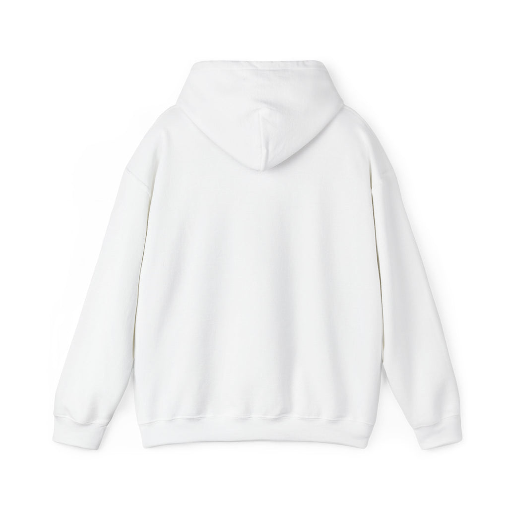 Retro Sunset Bison "Into the Storm" Graphic Hoodie