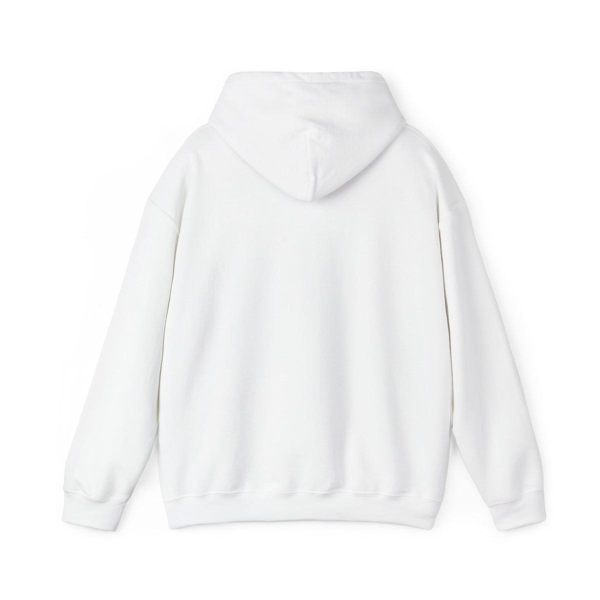 Retro Sunset Bison "Into the Storm" Graphic Hoodie