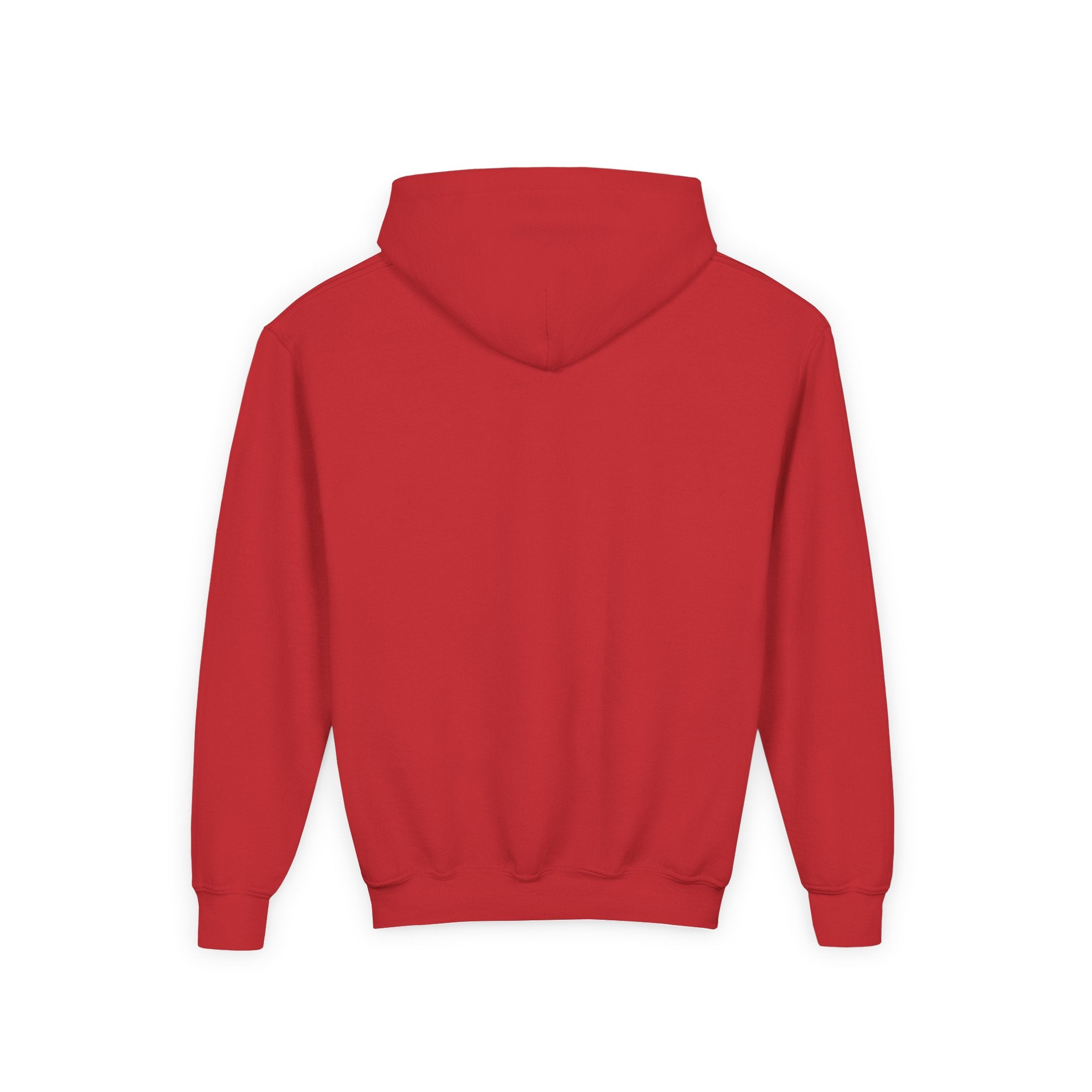 Into the Storm Bison Youth Hoodie